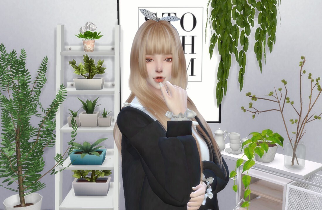 mod预览图
