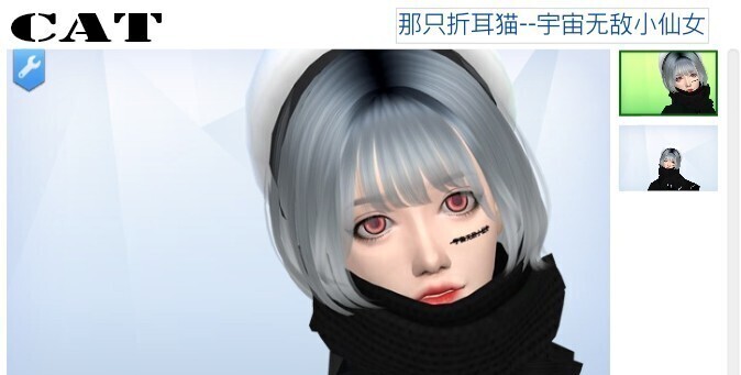mod预览图