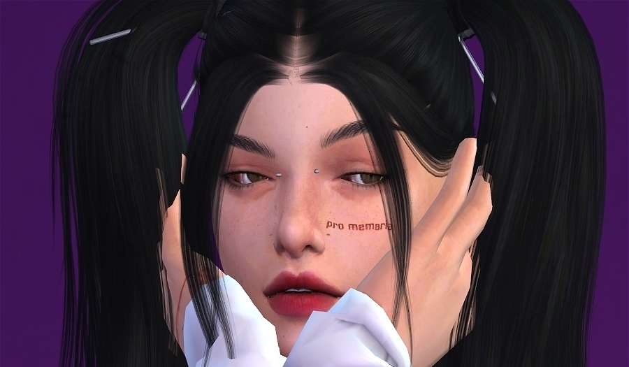 mod预览图