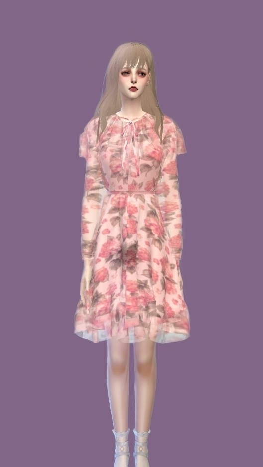 mod预览图