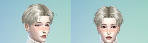 mod预览图