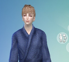 mod预览图