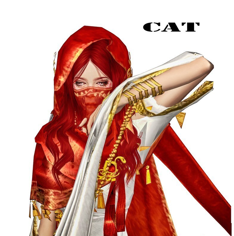 -云想衣裳花想容