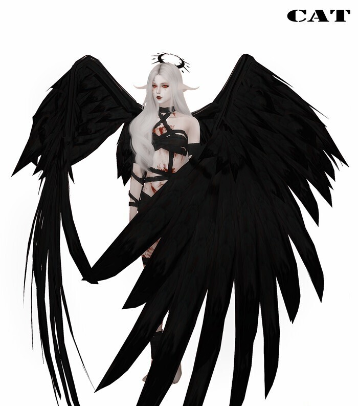 “黑天使”-魔鬼中的天使