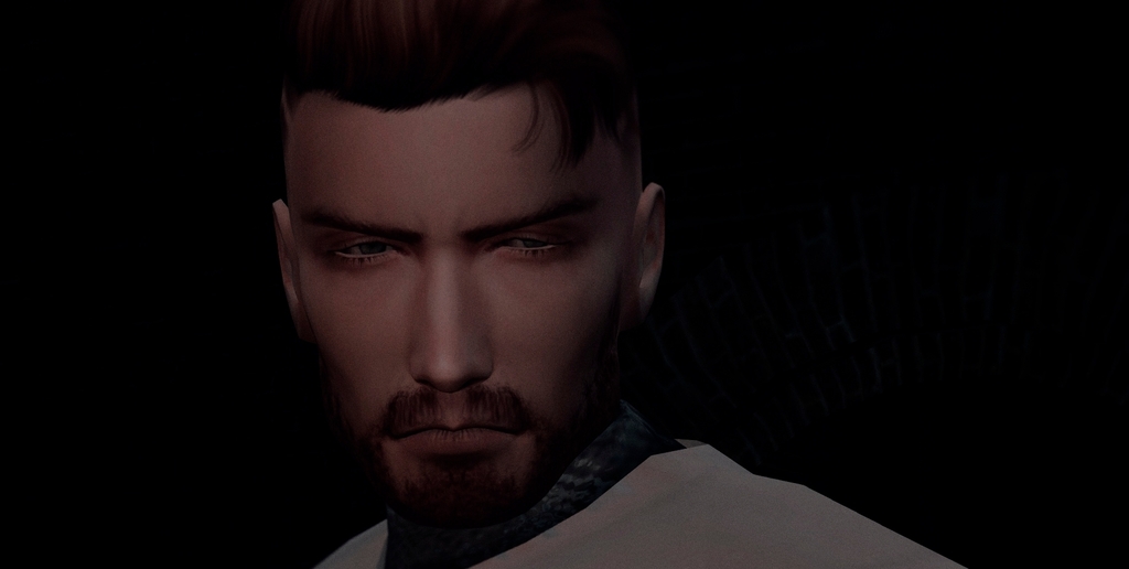 骑士与吸血鬼-第一代维尔夫一家