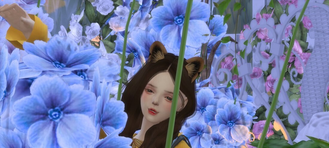 分享一只胖头鱼