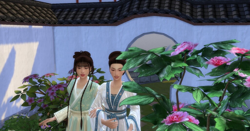 丁家温婉大小姐和活泼小妹