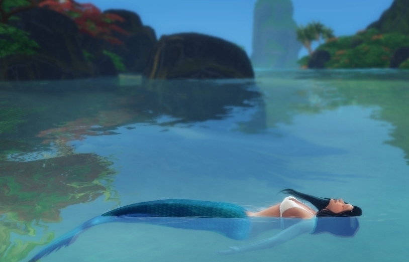 黑皮的人鱼小姐姐