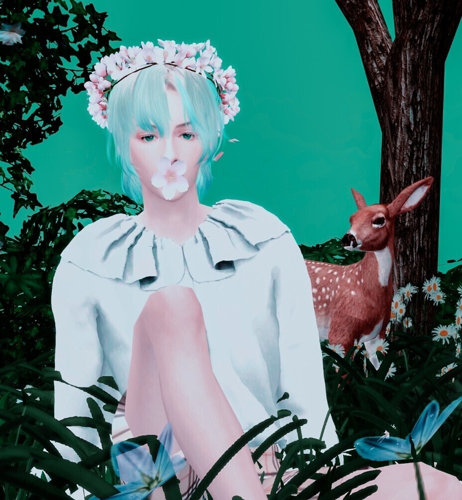 八月限定樱花小仙男