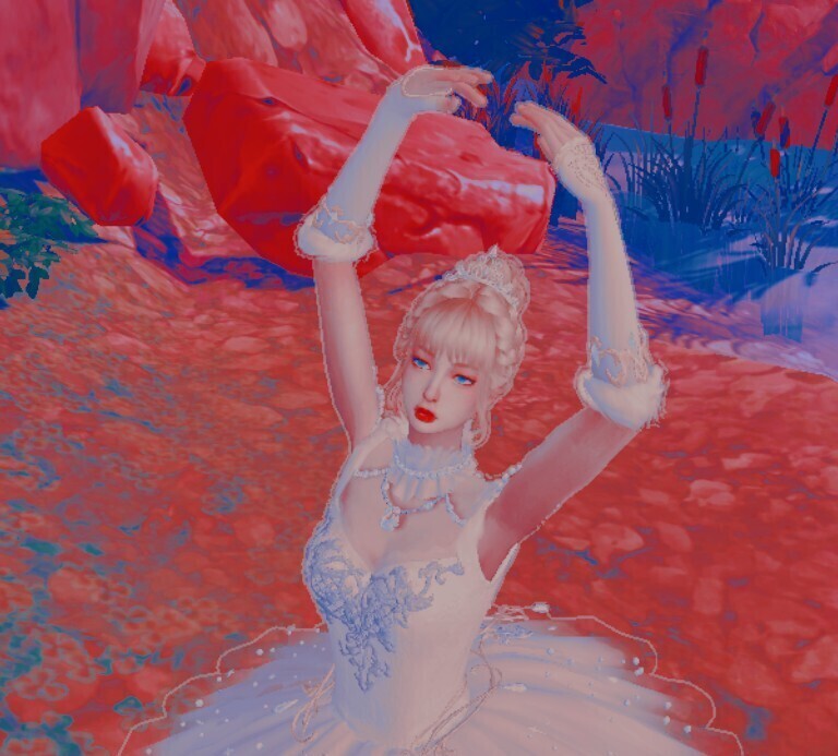 湖边高傲的白天鹅公主