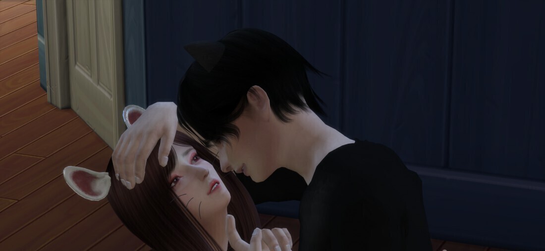 意想不到的CP——猫与鼠